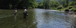 Fly Fishing Casting Lessons in the Berkshires