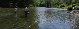 Fly Fishing Casting Lessons in the Berkshires