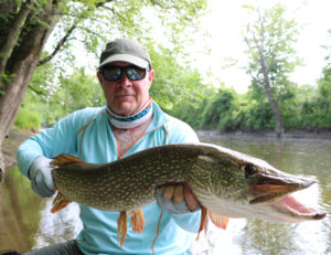 Fly Fishing For Pike, Western Massachusetts Fishing Guides